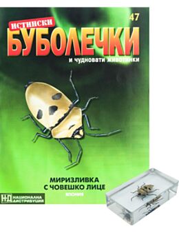 ИСТИНСКИ БУБОЛЕЧКИ - брой 47