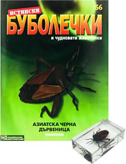 ИСТИНСКИ БУБОЛЕЧКИ - брой 56