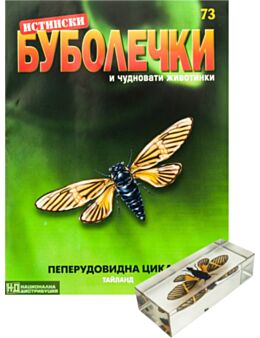 ИСТИНСКИ БУБОЛЕЧКИ - брой 73
