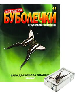 ИСТИНСКИ БУБОЛЕЧКИ - брой 44