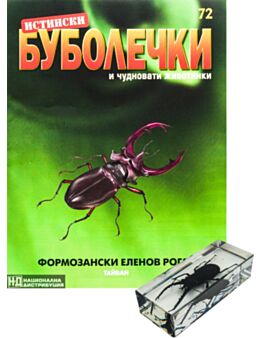 ИСТИНСКИ БУБОЛЕЧКИ - брой 72