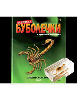 истински буболечки бр.1