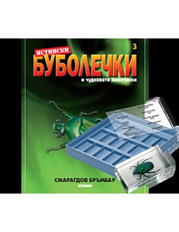 истински буболечки бр.3