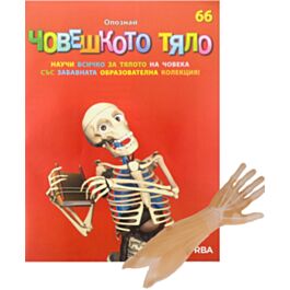 ЧОВЕШКОТО ТЯЛО - 66 бр.