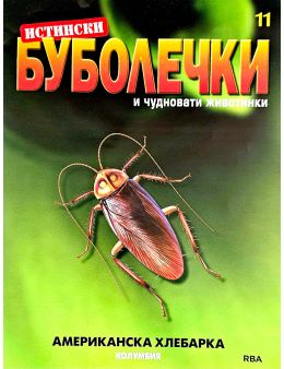 истински буболечки бр.11