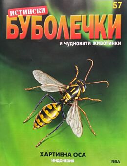 ИСТИНСКИ БУБОЛЕЧКИ - брой 57