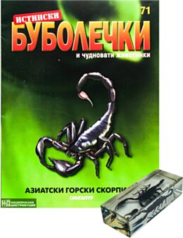ИСТИНСКИ БУБОЛЕЧКИ - брой 71