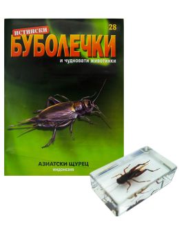 истински буболечки бр.28