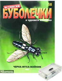 ИСТИНСКИ БУБОЛЕЧКИ - брой 58