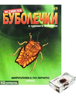 ИСТИНСКИ БУБОЛЕЧКИ - брой 49
