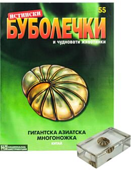 ИСТИНСКИ БУБОЛЕЧКИ - брой 55