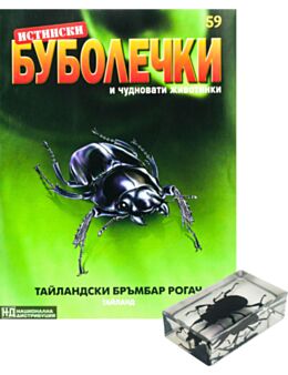 ИСТИНСКИ БУБОЛЕЧКИ - брой 59
