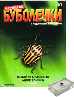 ИСТИНСКИ БУБОЛЕЧКИ - брой 61