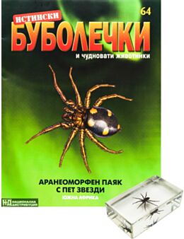 ИСТИНСКИ БУБОЛЕЧКИ - брой 64