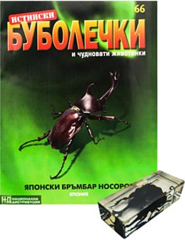 ИСТИНСКИ БУБОЛЕЧКИ - брой 66