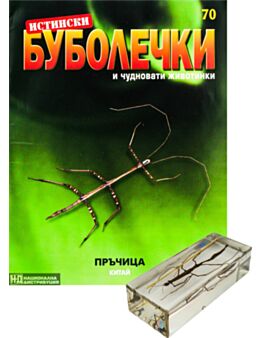 ИСТИНСКИ БУБОЛЕЧКИ - брой 70