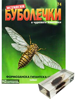 ИСТИНСКИ БУБОЛЕЧКИ - брой 74