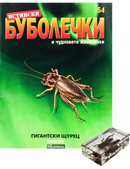 ИСТИНСКИ БУБОЛЕЧКИ - брой 54