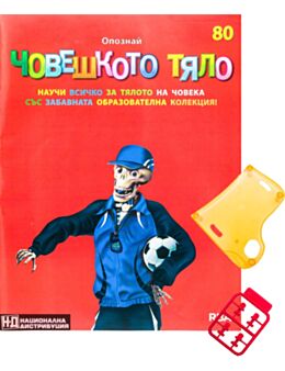 ЧОВЕШКОТО ТЯЛО - брой 80