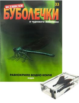 ИСТИНСКИ БУБОЛЕЧКИ - 33 бр.