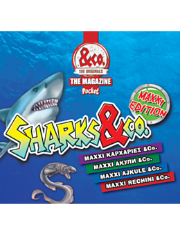 КОЛЕКЦИЯ/MAXXI SHARKS&CO