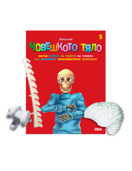 човешкото тяло бр.5