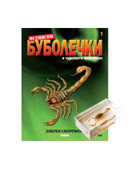 истински буболечки бр.1